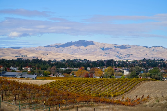 Best Wine Regions in California